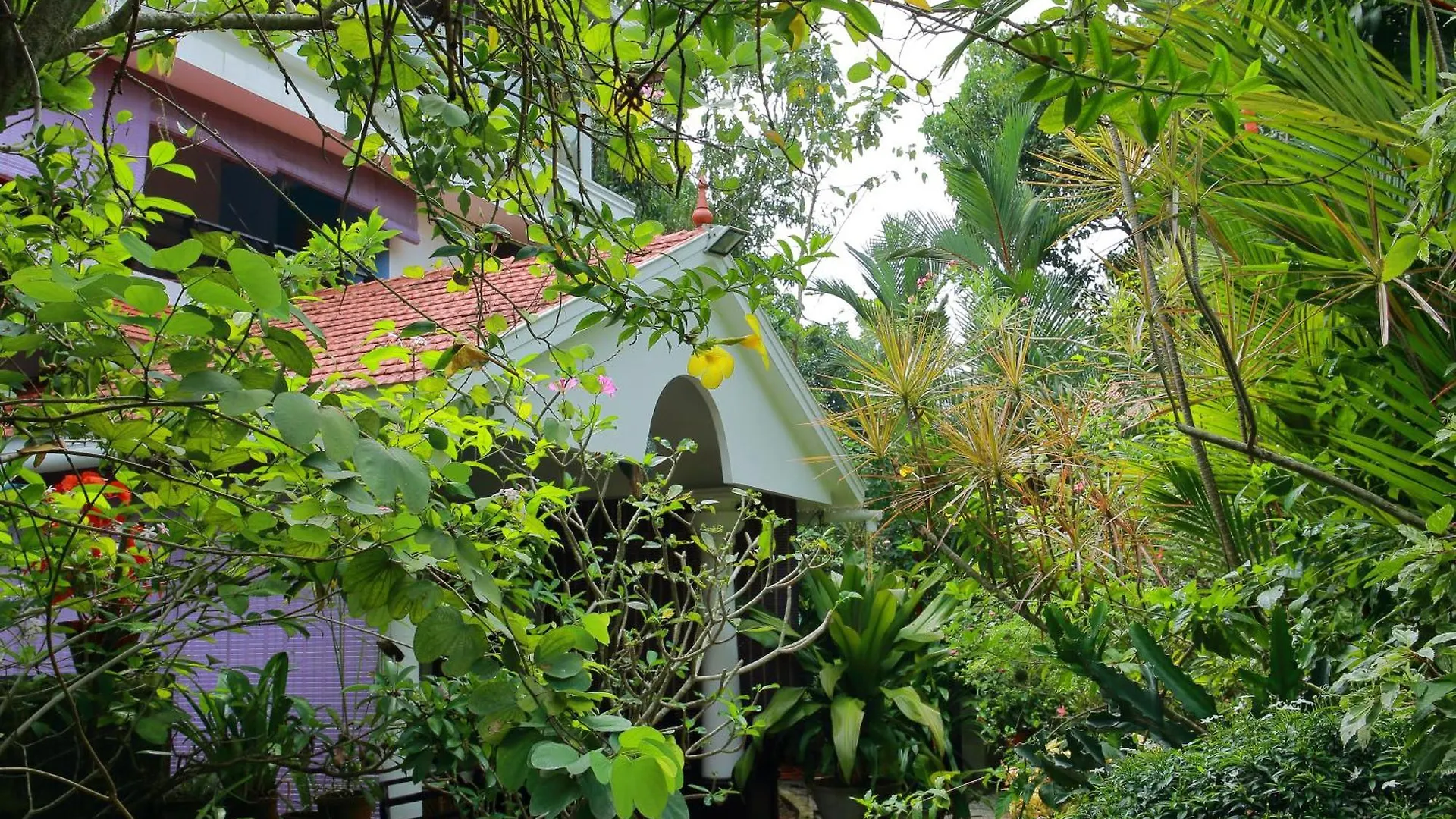 Bella Homestay Kerala Alappuzha 0*,