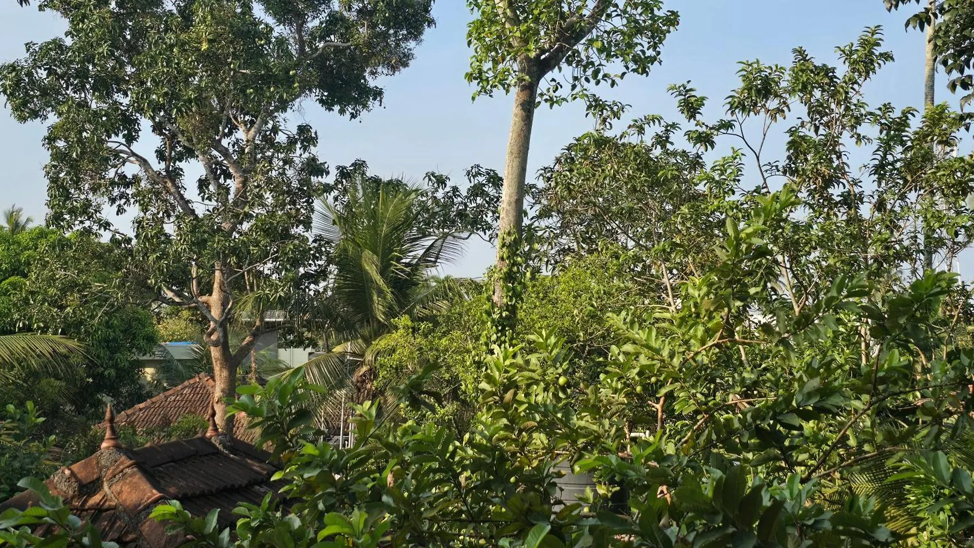 Bella Homestay Kerala Alappuzha Ινδία