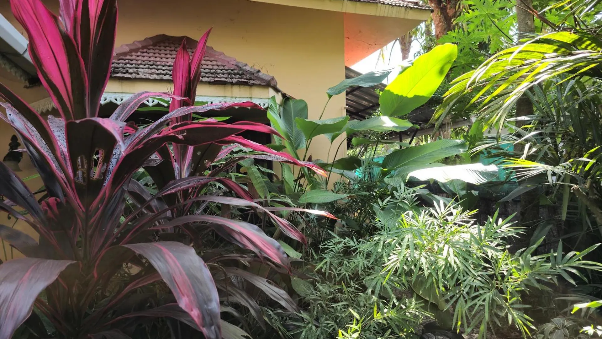 Bella Homestay Kerala Alappuzha